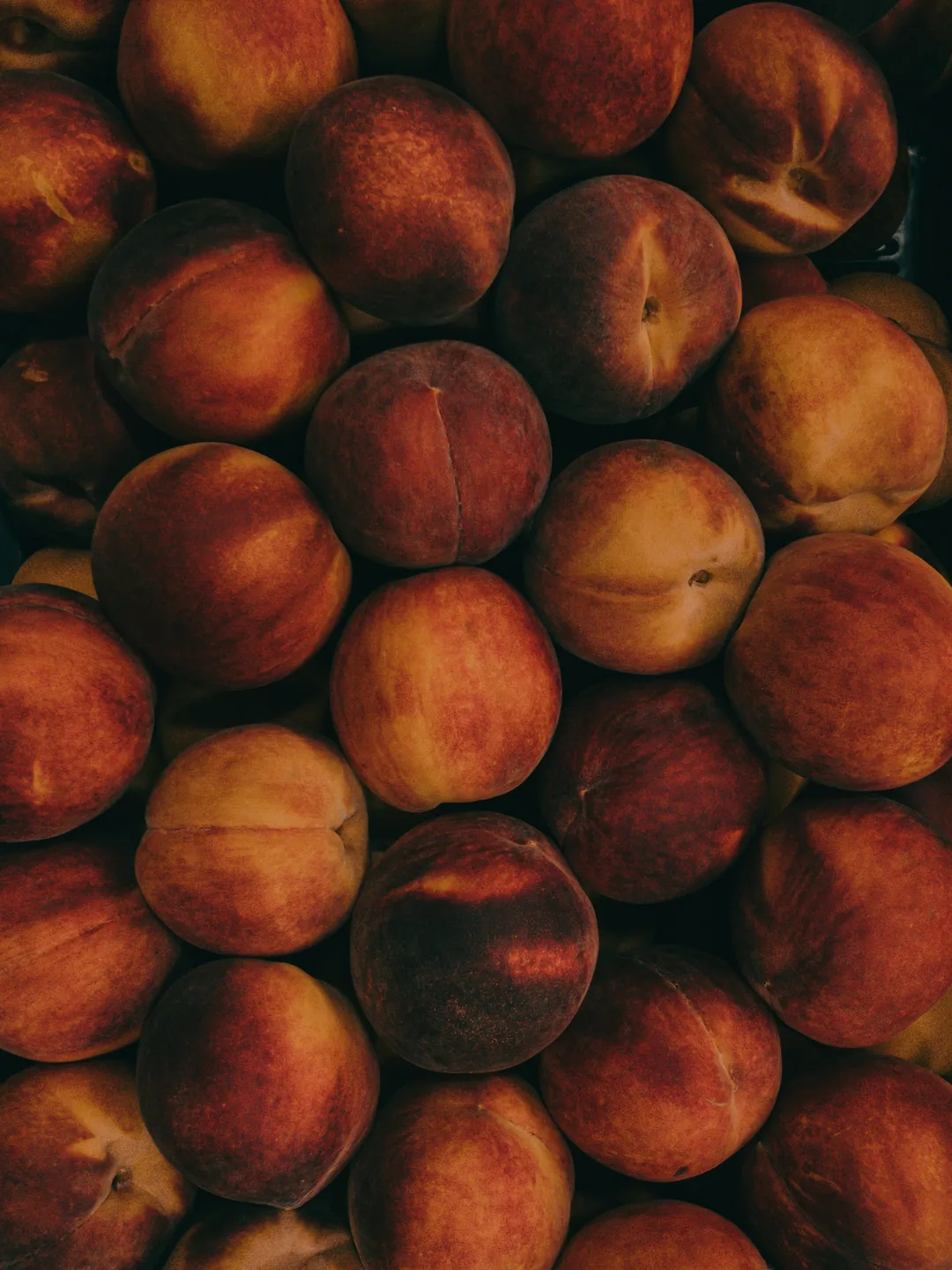 Nectarines aux nuances rouges, orangées et profondes